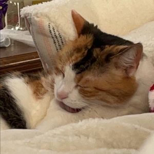 Meet your Posher, Victoria